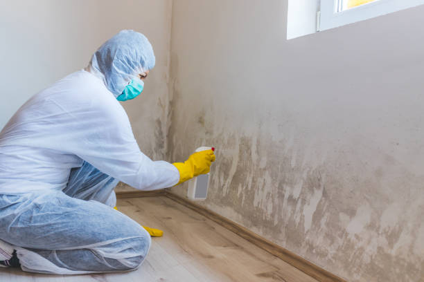 Licensed Attic Mold Removal service in Oakland, NJ - WQB Mold Removal