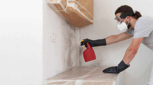 Professional Attic Mold Removal technician working in Oakland, NJ