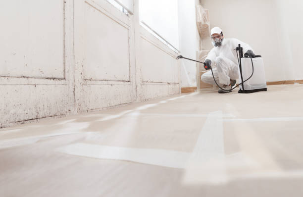 24/7 Emergency Attic Mold Removal experts in Oakland, NJ