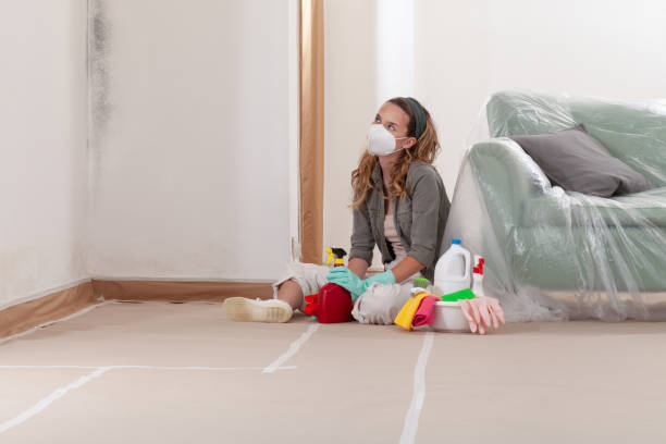 Reliable Attic Mold Removal contractor in Oakland, NJ by WQB Mold Removal