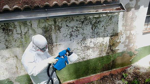 Top rated local Attic Mold Removal specialists in Oakland, NJ